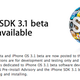 Illustration for article titled iPhone 3.1 SDK Available Now